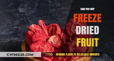 Exploring the Convenience: Can You Buy Freeze-Dried Fruit?