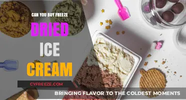 Sweet Treats for the Long Haul: Freeze-Dried Ice Cream Explained