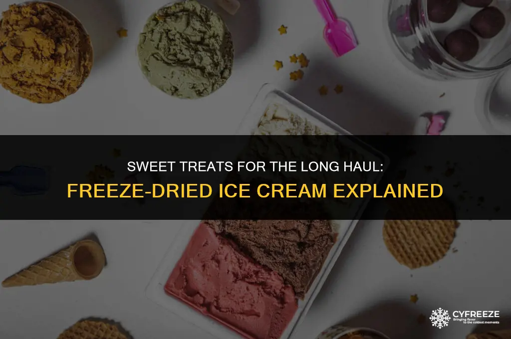 can you buy freeze dried ice cream