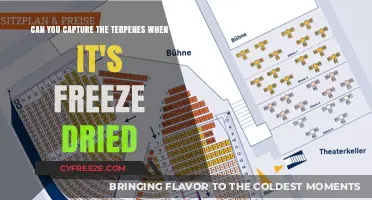 Preserving Potency: The Art of Freeze-Drying Cannabis Terpenes