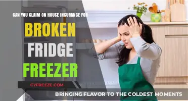 Navigating House Insurance Claims for a Broken Fridge Freezer