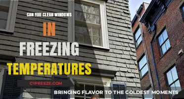 Cleaning Windows in Winter: Tips for Freezing Temperatures and Clear Views