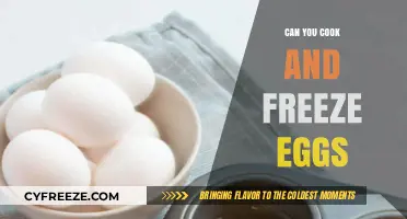 Egg-cellent Preservation: The Ultimate Guide to Cooking and Freezing Eggs