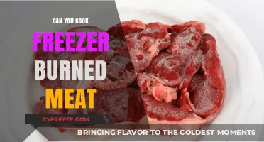 Reviving Frozen Delights: Can You Really Cook Freezer-Burned Meat?