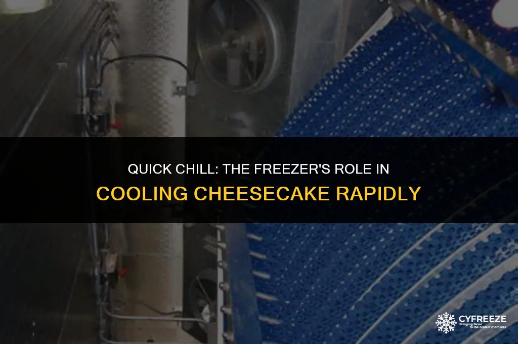 can you cool cheesecake faster by putting it in freezer