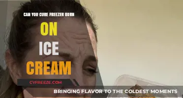 Reviving Your Frozen Treat: The Ultimate Guide to Curing Freezer Burn on Ice Cream
