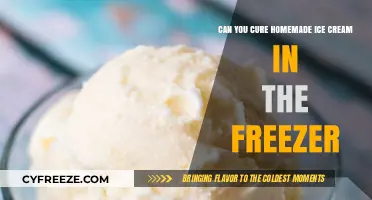 Chill and Cure: The Art of Freezing Homemade Ice Cream