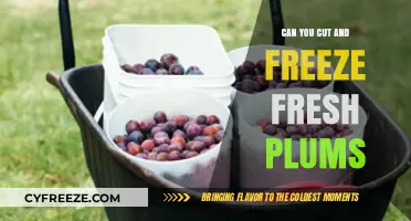 Preserve the Sweetness: A Guide to Cutting and Freezing Fresh Plums