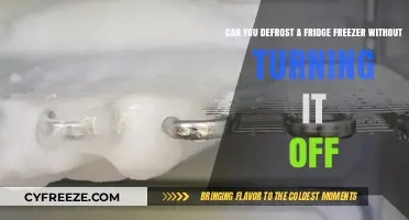 Safely Defrosting Your Fridge Freezer: A Step-by-Step Guide