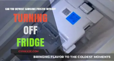Efficiently Defrost Your Samsung Freezer Without Disrupting the Fridge