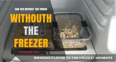 Defrosting Dilemmas: Can You Safely Thaw Your Fridge Without the Freezer?