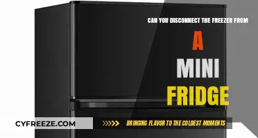 Unplugging the Freeze: Separating Your Mini Fridge and Freezer