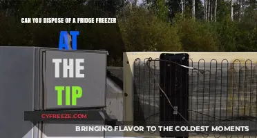 Eco-Friendly Disposal: Your Guide to Recycling Fridge Freezers Responsibly