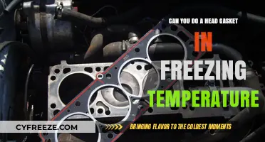 Can You Repair a Head Gasket in Freezing Temperatures?