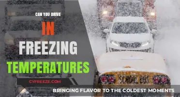 Driving in Freezing Temperatures: Essential Tips for Safe Winter Travel