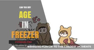 Dry Aging in the Freezer: A Convenient Alternative to Traditional Methods