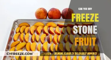Reviving Summer: The Art of Dry Freezing Stone Fruit
