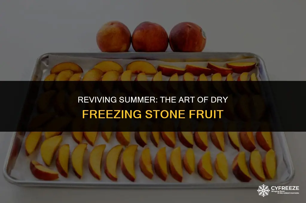 can you dry freeze stone fruit
