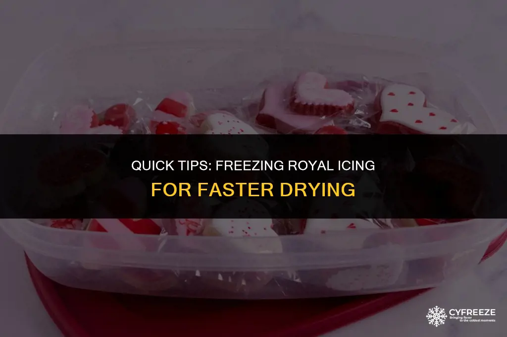can you dry royal icing in the freezer