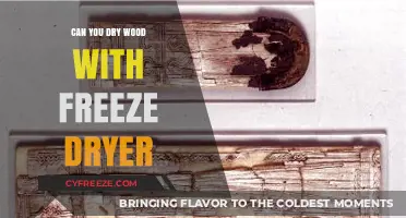 Exploring the Possibilities: Freeze Drying Wood for Preservation