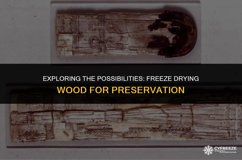 can you dry wood with freeze dryer