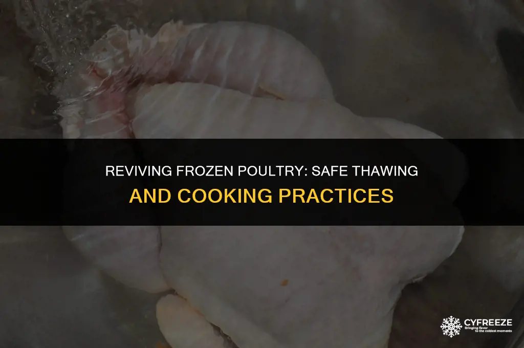 can you eat chicken from the freezer after 8 months