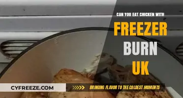 Reviving Frozen Poultry: Can You Safely Eat Chicken with Freezer Burn in the UK?