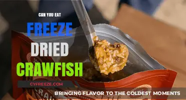 Savoring the Swamp: A Guide to Eating Freeze-Dried Crawfish