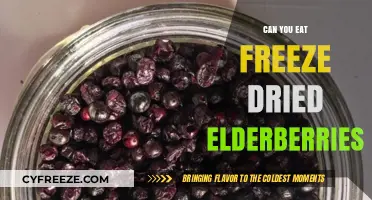 Reviving Nature's Bounty: The Edibility and Benefits of Freeze-Dried Elderberries
