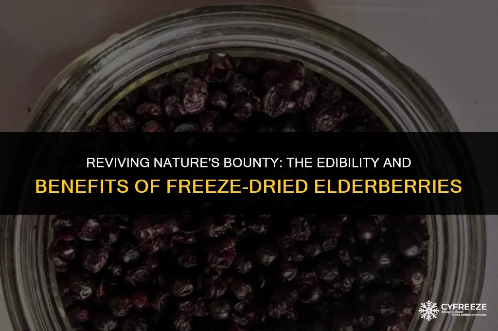 can you eat freeze dried elderberries