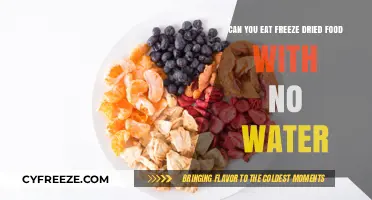 Exploring the Edibility of Freeze-Dried Food Without Water