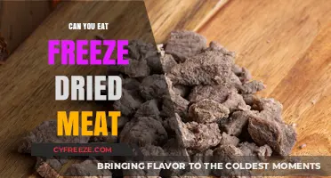Exploring the Edibility and Benefits of Freeze-Dried Meat
