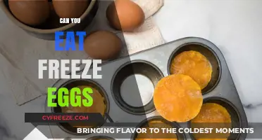 Can You Eat Frozen Eggs? A Complete Guide to Safety and Taste