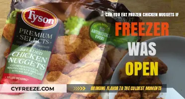 Safe to Savor: Frozen Chicken Nuggets After a Freezer Hiccup?
