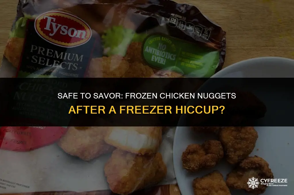 can you eat frozen chicken nuggets if freezer was open