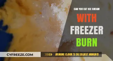 Reviving Frozen Delights: Can You Eat Ice Cream with Freezer Burn?