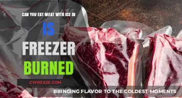 Reviving Frozen Meat: Tips to Prevent and Treat Freezer Burn