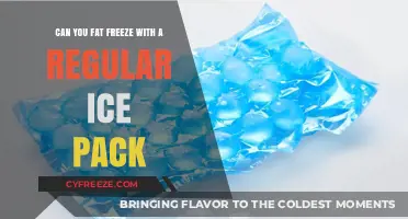 Exploring Fat Freezing: Can Regular Ice Packs Do the Trick?