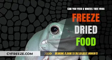 Fueling Your White Tree Frog: The Freeze-Dried Food Debate