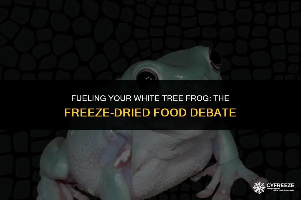 can you feed a whites tree frog freeze dried food