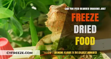 Exploring Bearded Dragon Diets: Freeze-Dried Food Considerations