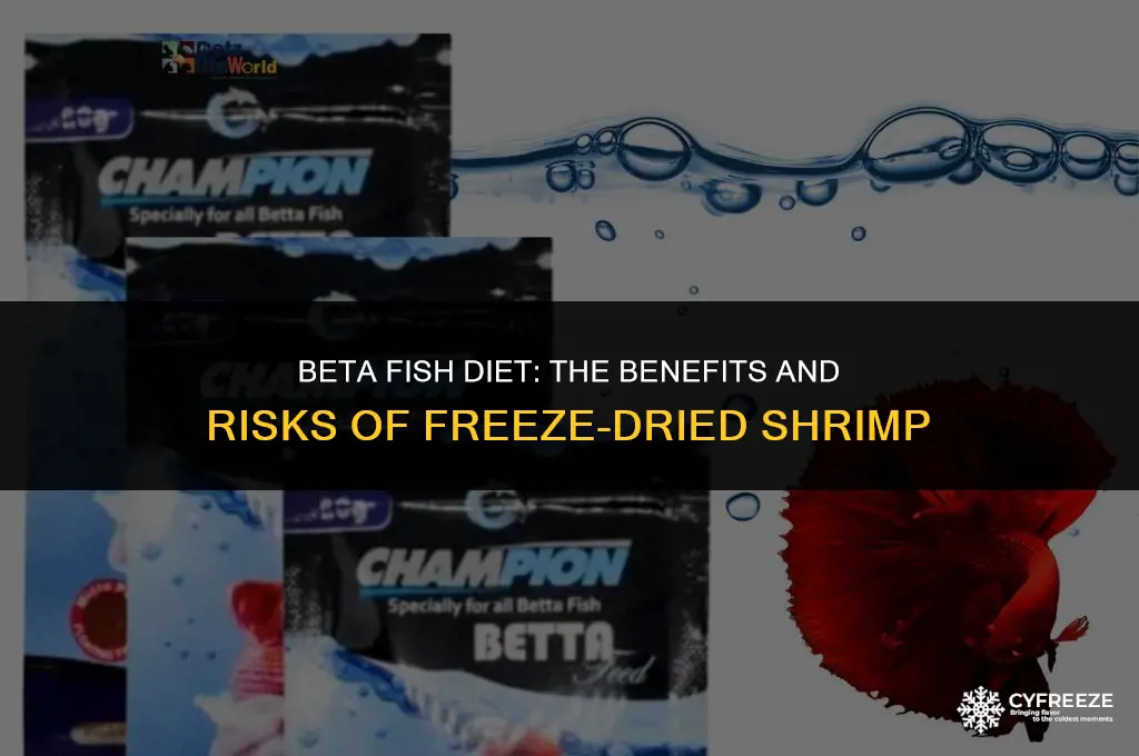 can you feed beta