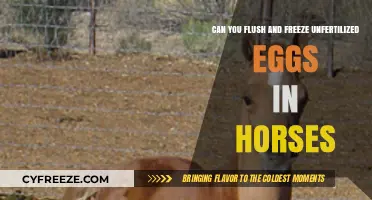 Flushing and Freezing Unfertilized Horse Eggs: A Viable Option?