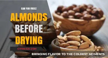 Almond Preservation: The Ultimate Guide to Freezing Before Drying