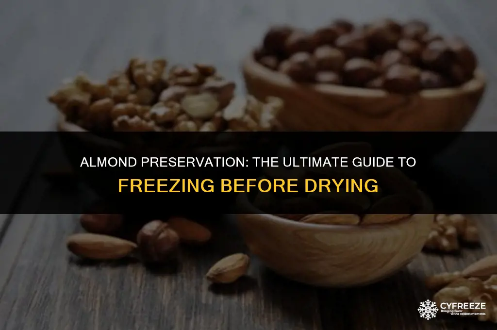 can you freez almonds before drying