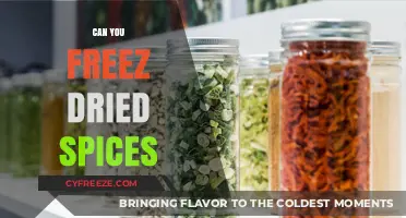 Reviving Flavor: The Do's and Don'ts of Freezing Dried Spices