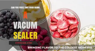 Preserve Freshness: The Ultimate Guide to Freeze-Drying Food with a Vacuum Sealer
