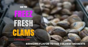 Fresh Clams: The Ultimate Guide to Freezing and Preserving