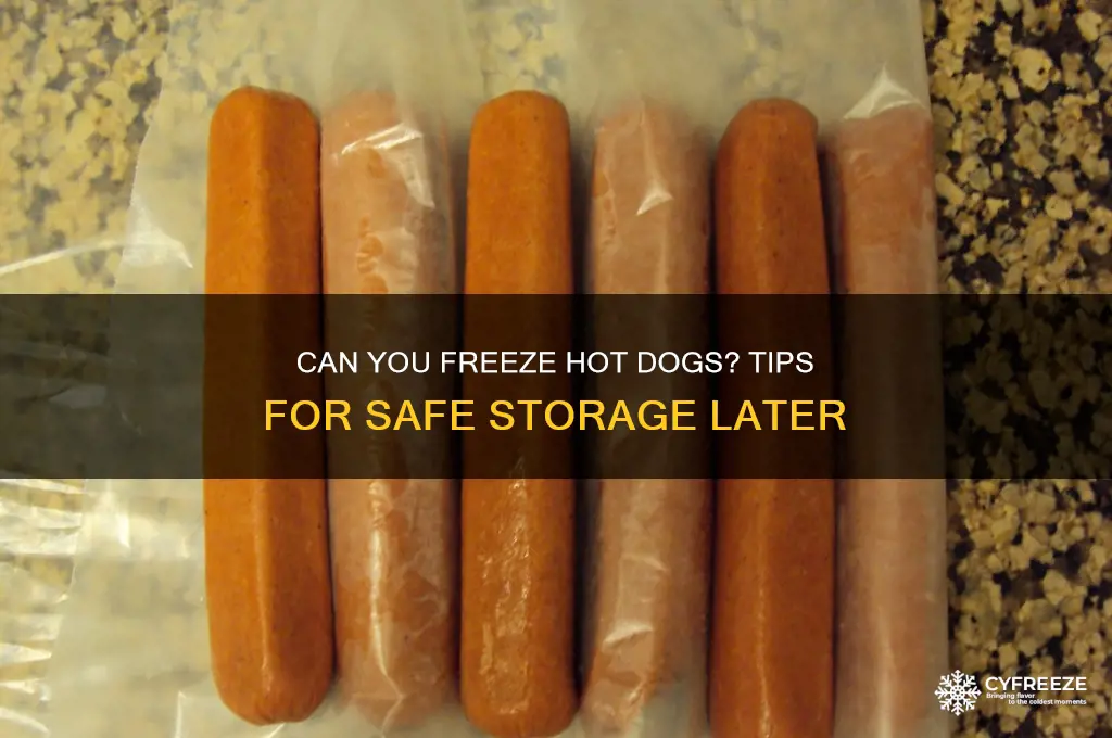 can you freez hot dogs use latter