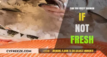 From Fresh to Frozen: The Ultimate Guide to Preserving Salmon